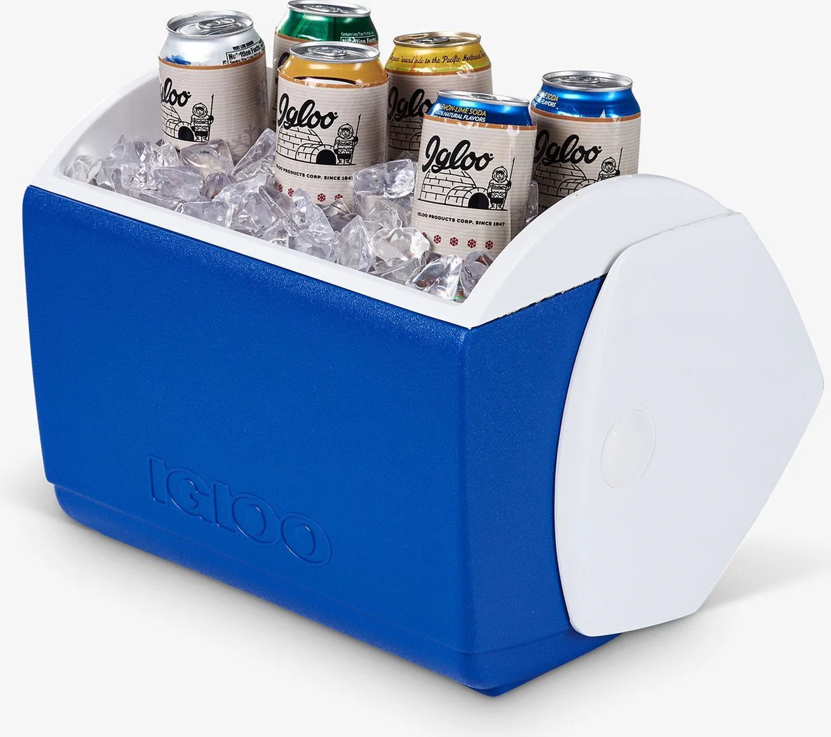 Igloo PME16SB PLAYMATE Elite passieve koelbox - Image 6